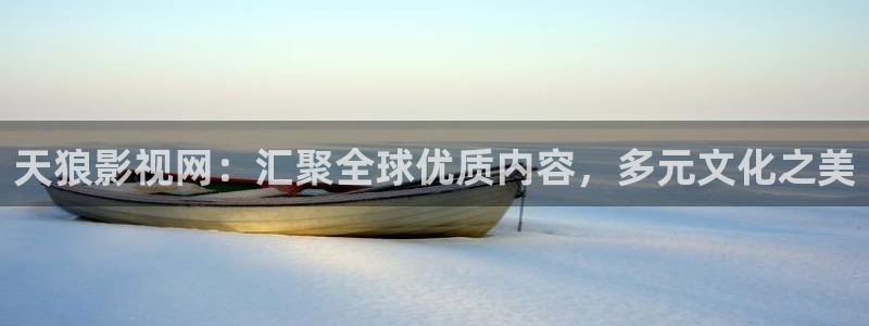 斑马北京：天狼影视网：汇聚全球优质内容，多元文化之美