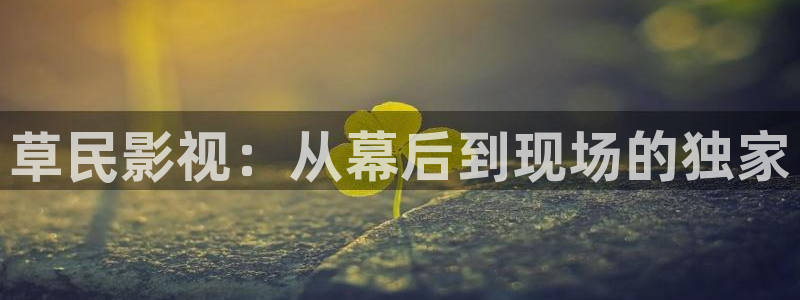 丽江斑马：草民影视：从幕后到现场的独家
