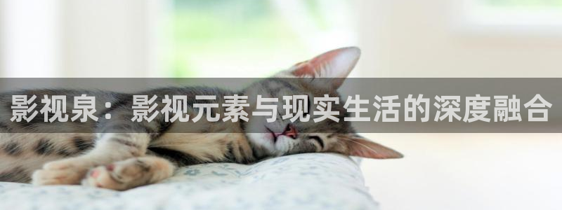 斑马影院完整版