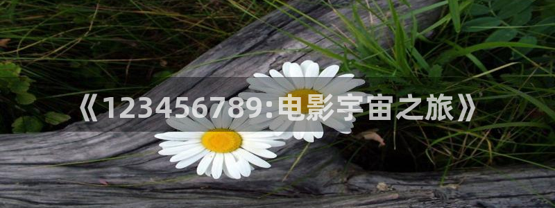 斑马 jj15