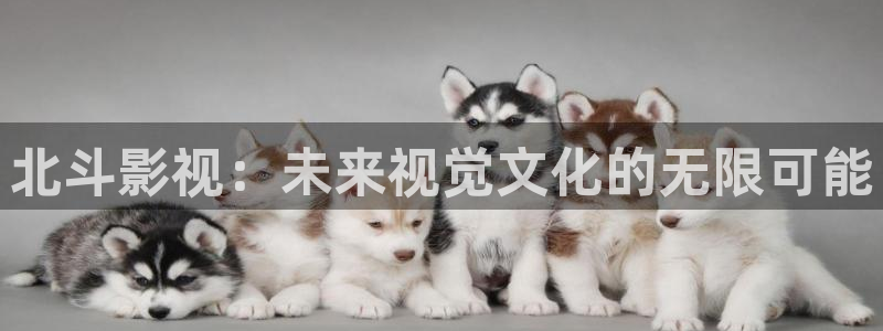 斑马系统2：北斗影视：未来视觉文化的无限可能