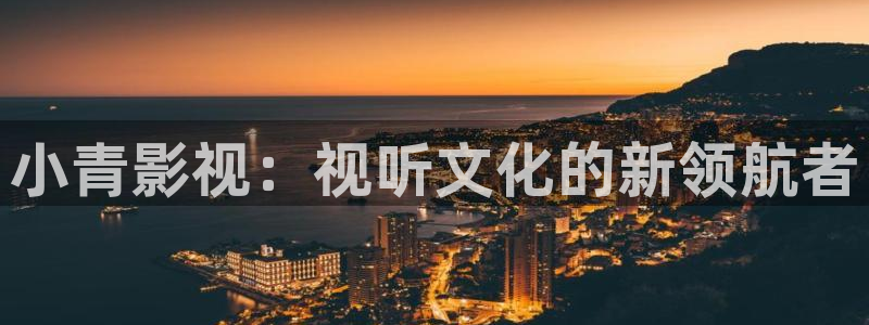 斑马140xi4：小青影视：视听文化的新领航者