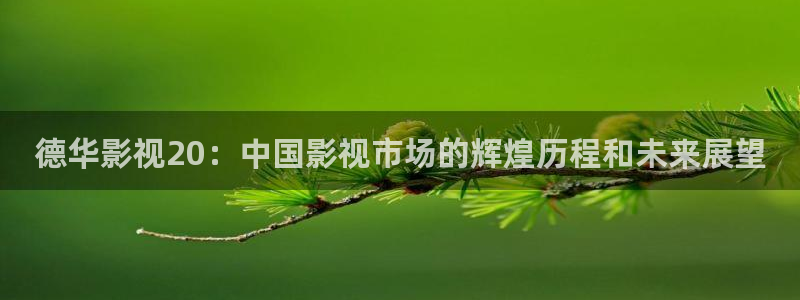 斑马总代：德华影视20：中国影视市场的辉煌历程和未来展望